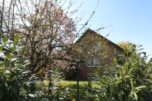 Garten - vorderer Bereich