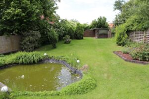 Blick in den Garten