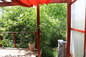 Blick in den Garten
