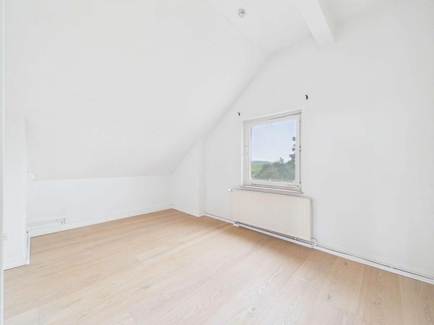 Büro OG